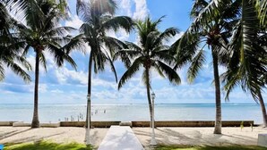 Una spiaggia con palme, un viale bianco e vista sull'oceano.