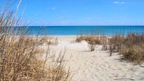 Una playa arenosa con pastos altos al frente y un océano azul claro en el fondo.