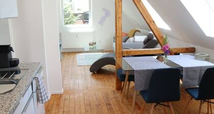 Apartment for vacation rental,1 BR, 1 BAR, kitchen, balcony Gaggenau/Baden-Baden
