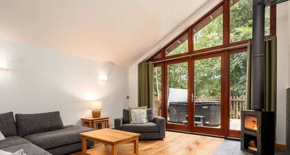 Glentress Forest Golden Oak, Peebles