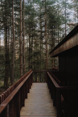 Unclassified image, 5 of 19, button