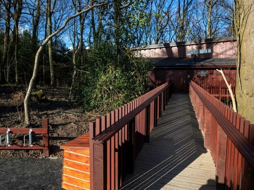 Glentress Forest Silver Birch Cabin, Peebles