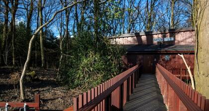 Glentress Forest Silver Birch Cabin, Peebles