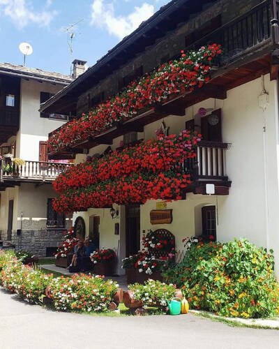 Cozy mountain chalet, with private fenced garden, pets allowed!