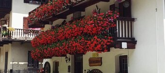 Cozy mountain chalet, with private fenced garden, pets allowed!