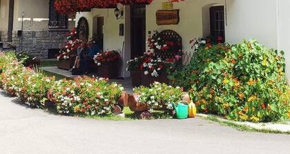 Cozy mountain chalet, with private fenced garden, pets allowed!