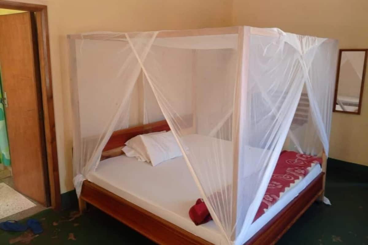A single bed with a white mosquito net, wooden frame, and a red blanket.