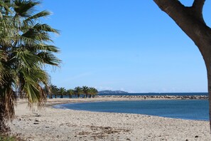 Ein Strand mit Palmen, blauem Himmel und ruhiger See.