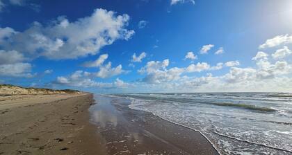 Charming 3BR/2BA - 1/2 Block to Beach - Sleeps 8 from Rent On Padre