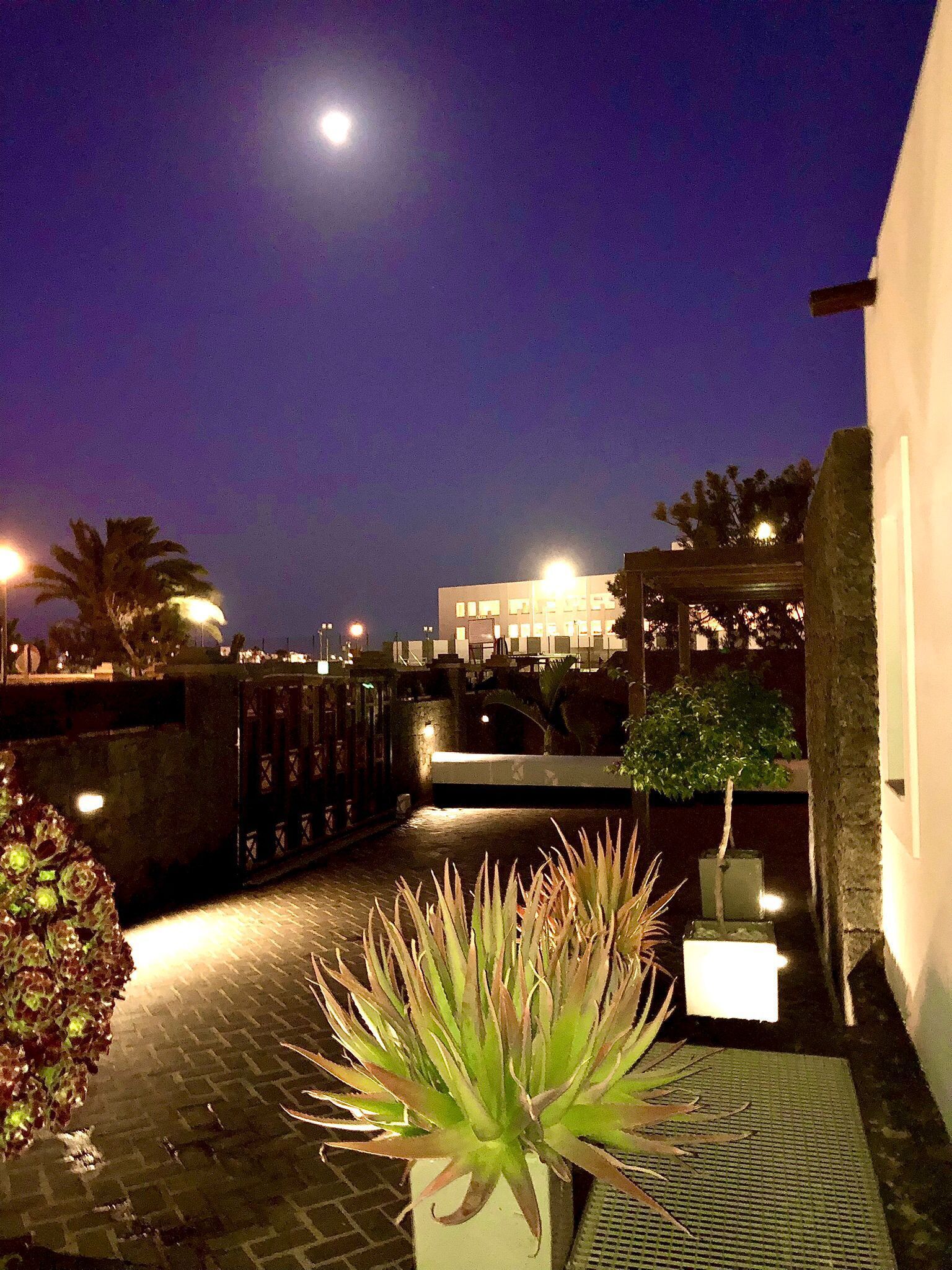 Villa, 3 Bedrooms | Property grounds