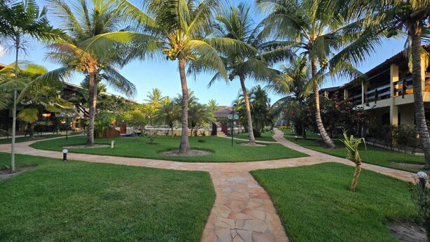 Un patio con palmeras, un sendero de piedra y un edificio con balcones.