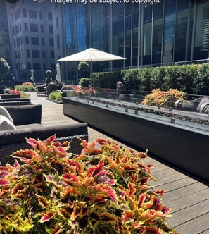 Terraza o patio