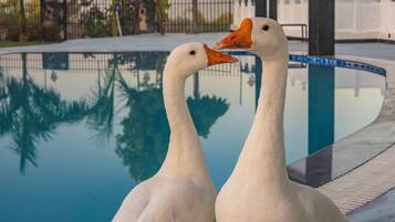 ์ผ์ธ ์์์ฅ