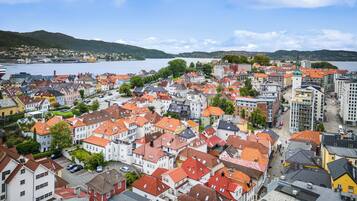 A densely packed urban area with a variety of building styles and a waterfront in the background.