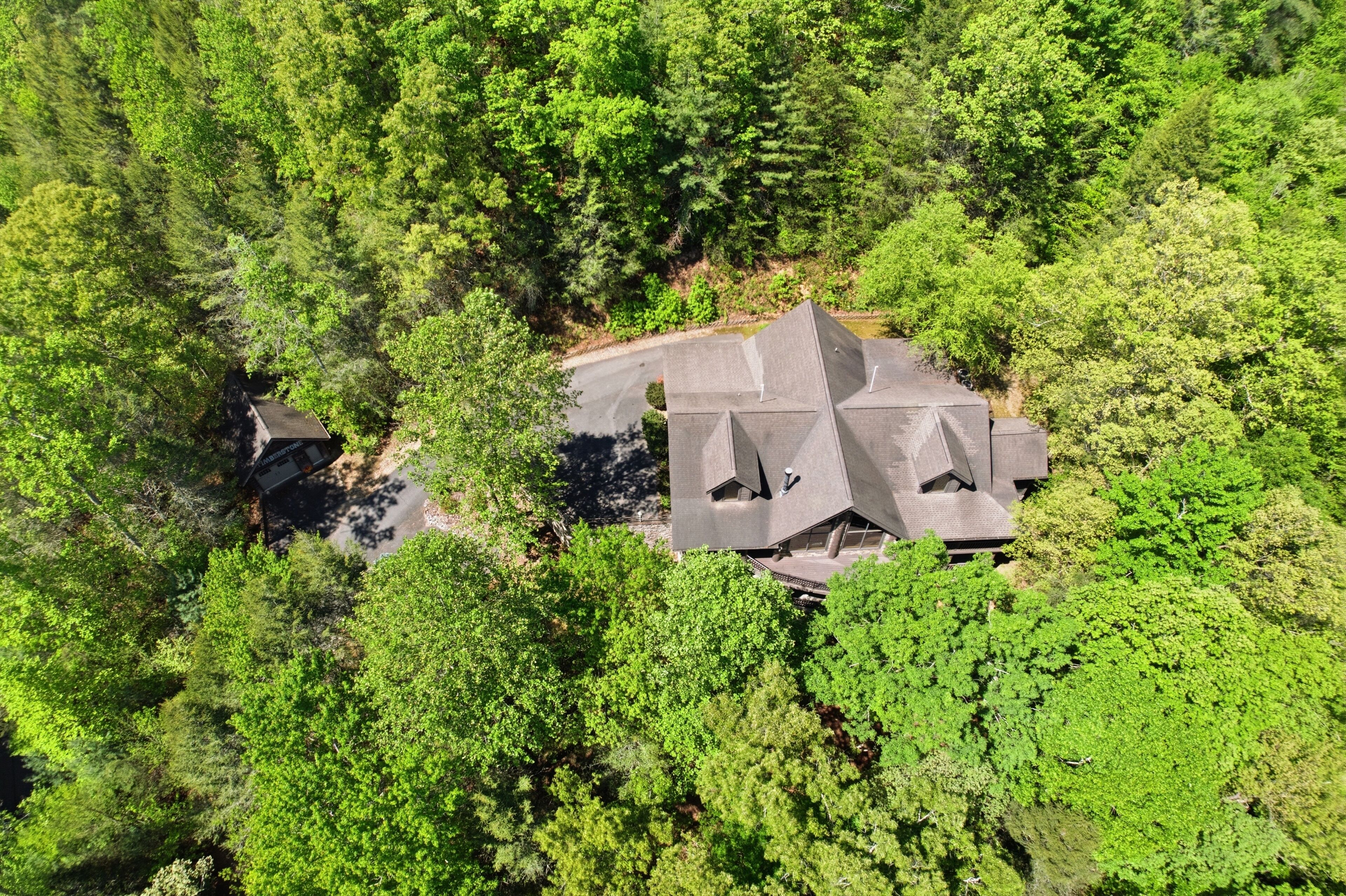 A large, dark-roofed building surrounded by dense green forest.