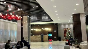 A modern lobby with a reception desk, seating area, and a Christmas tree. - MJM Cityscape At Red Residences Makati (Makati)