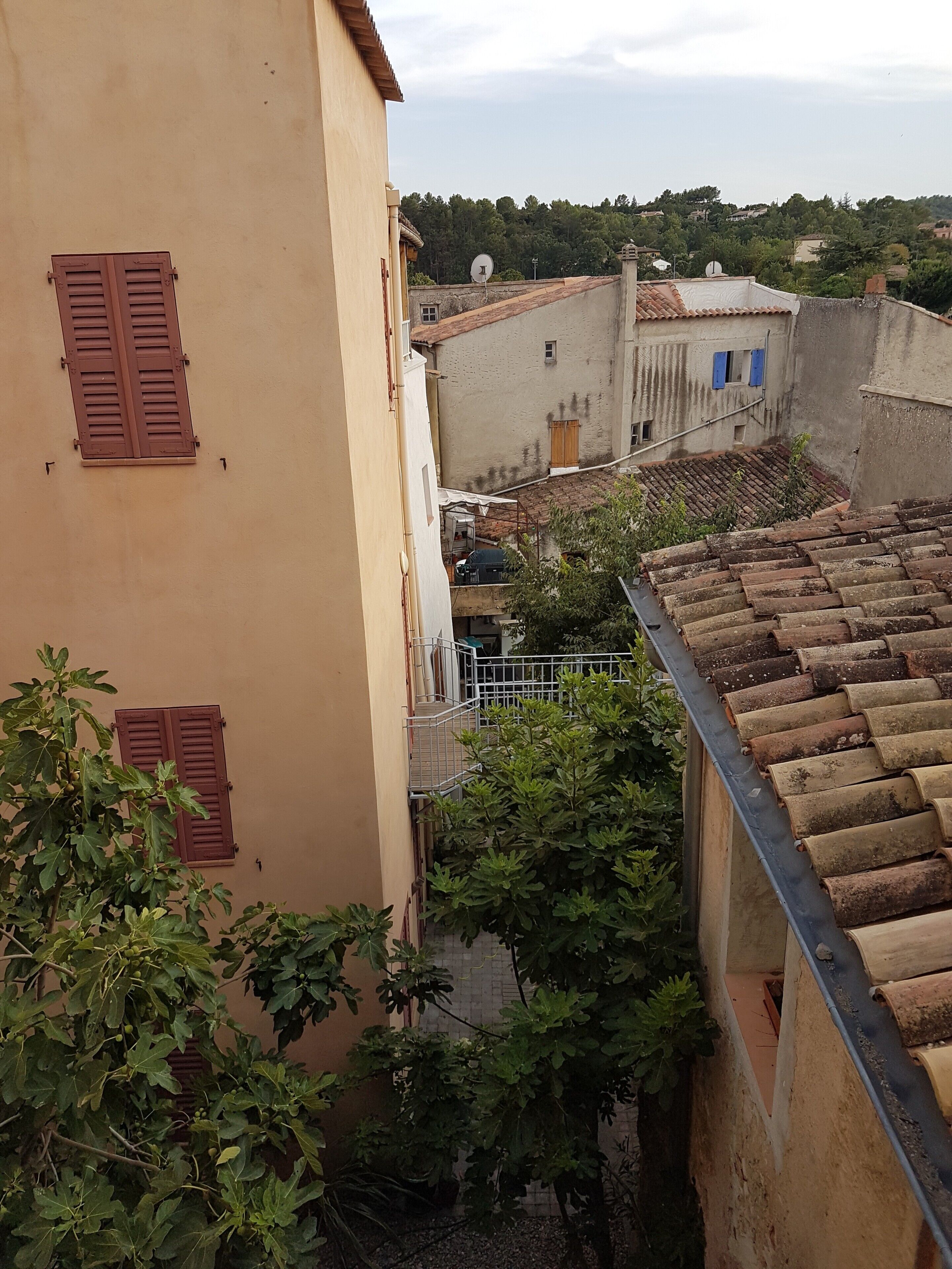 Une ruelle étroite entre deux bâtiments, avec un toit recouvert de tuiles et un figuier au premier plan.
