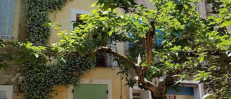 Un bâtiment avec une porte verte, un arbre devant et une structure en bois sur la droite.