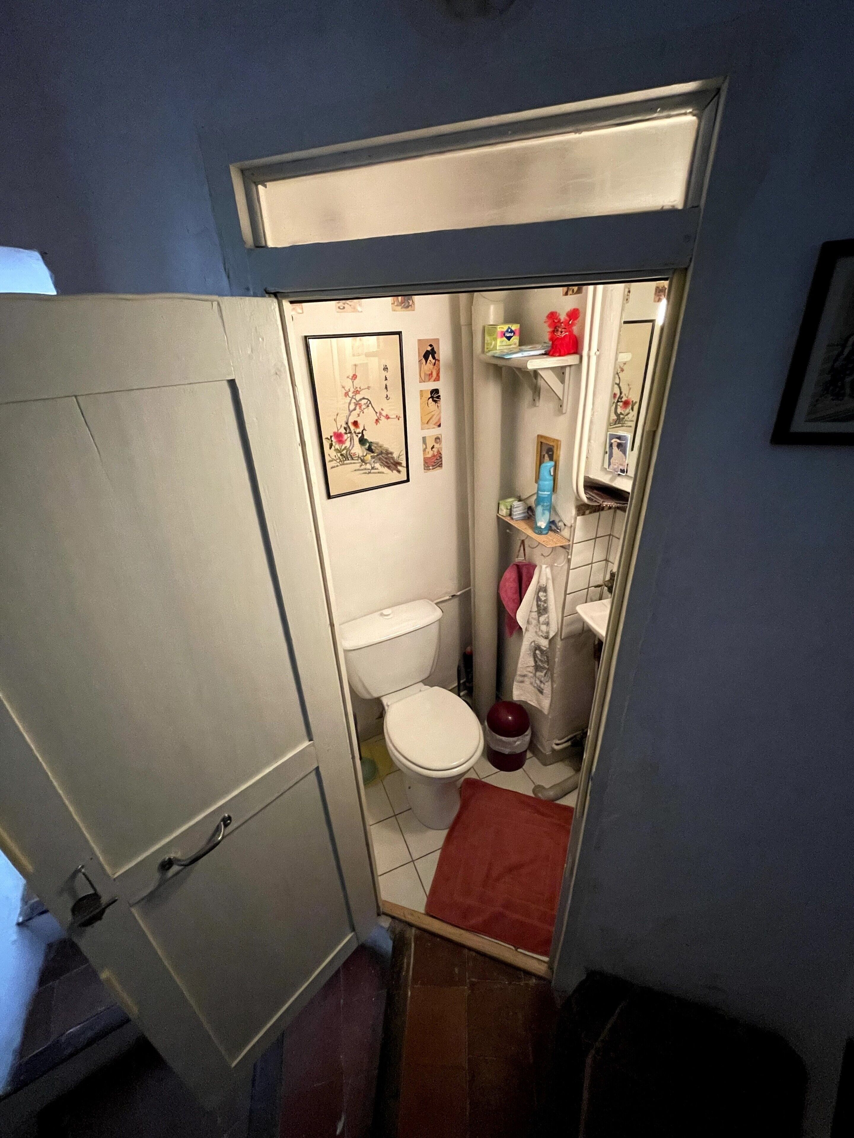 Un baño pequeño con inodoro, un estante con artículos de aseo y un tapete rojo en el suelo.