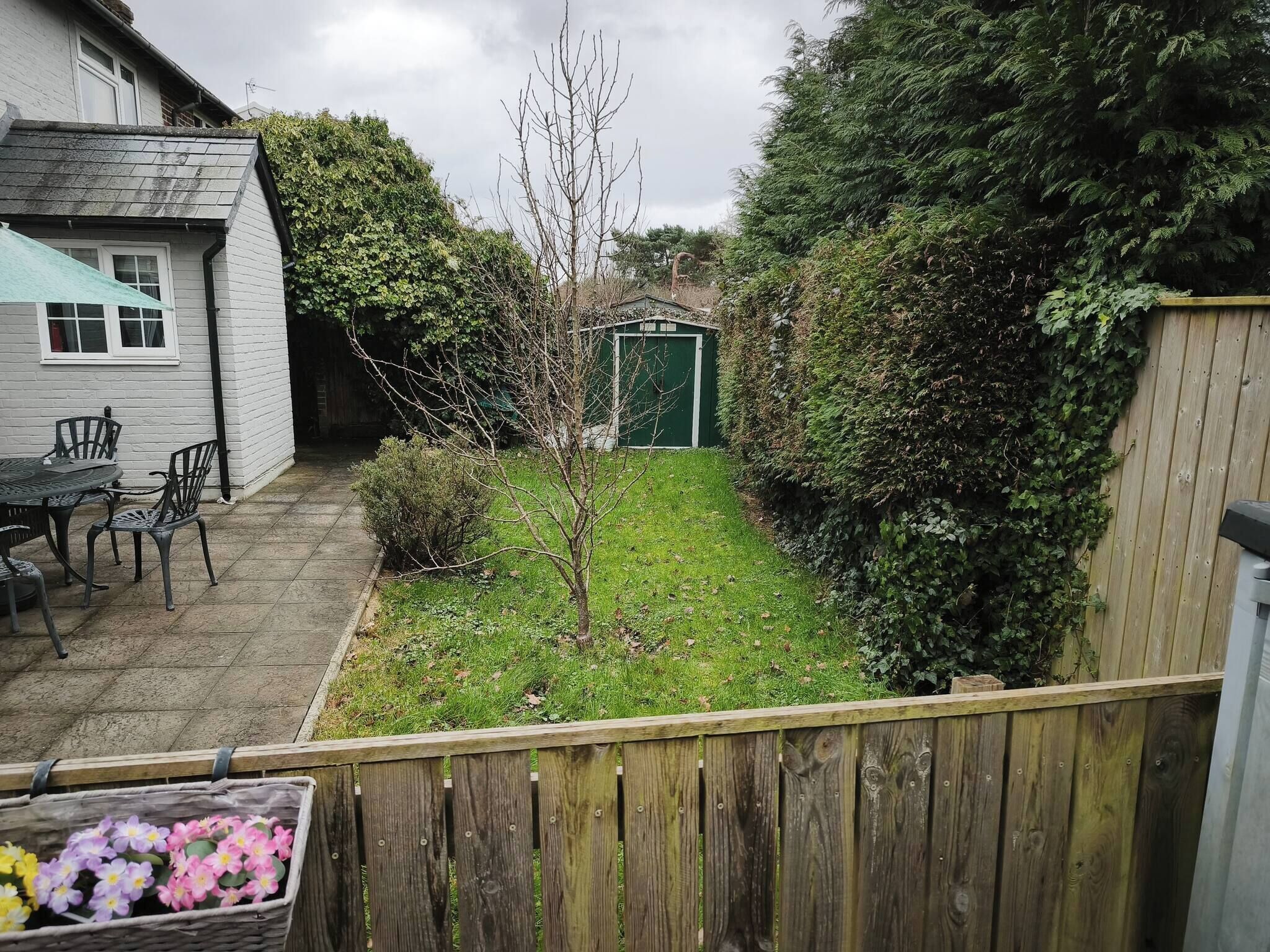 A backyard with a small tree, a green door, and a wooden fence.