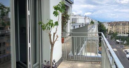 Splendide Attique Ă GENEVE - CHAMPEL