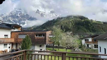 Apartment, 2 Bedrooms, Pets Allowed, Mountain View | Mountain view