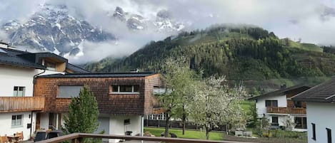 Apartment, 2 Bedrooms, Pets allowed, Mountain View | Mountain view