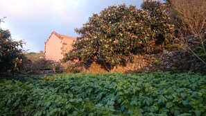 Uklassifisert bilde, 4 av 30, knapp