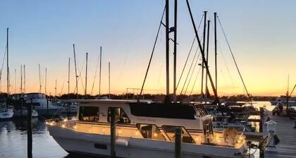 Not a Hotel... A floating adventure🛥