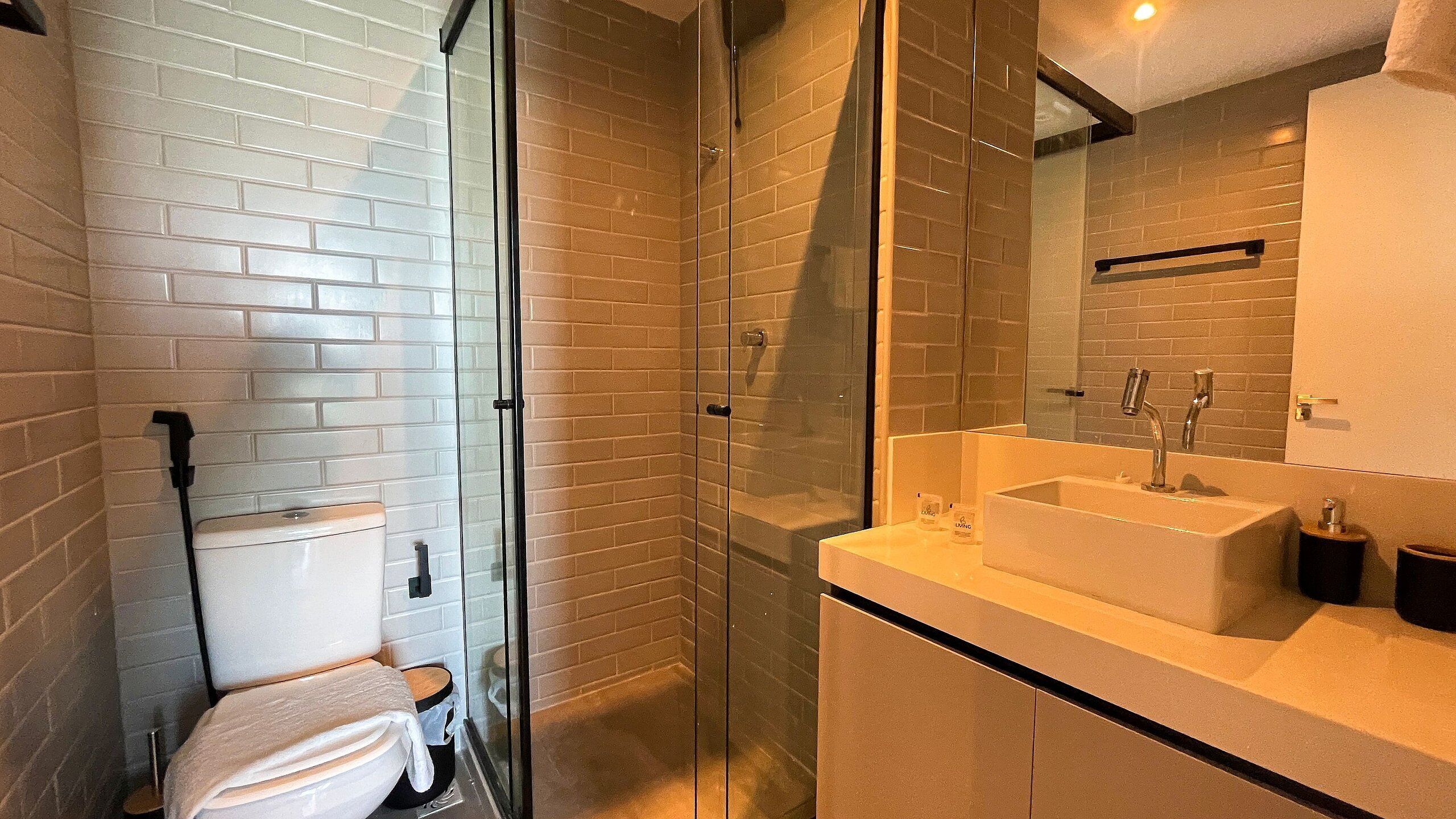 A modern bathroom with a glass-enclosed shower, a white toilet, and a large sink with a mirror above it.