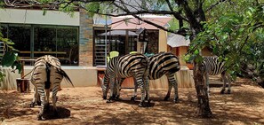Terrein van de accommodatie