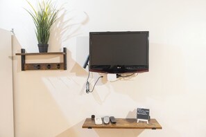Television