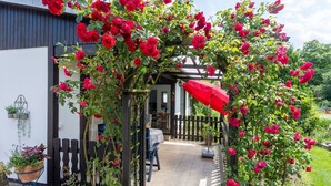 Jardí amb una pèrgola coberta de roses vermelles, una tanca de fusta i una taula amb un parasol vermell.