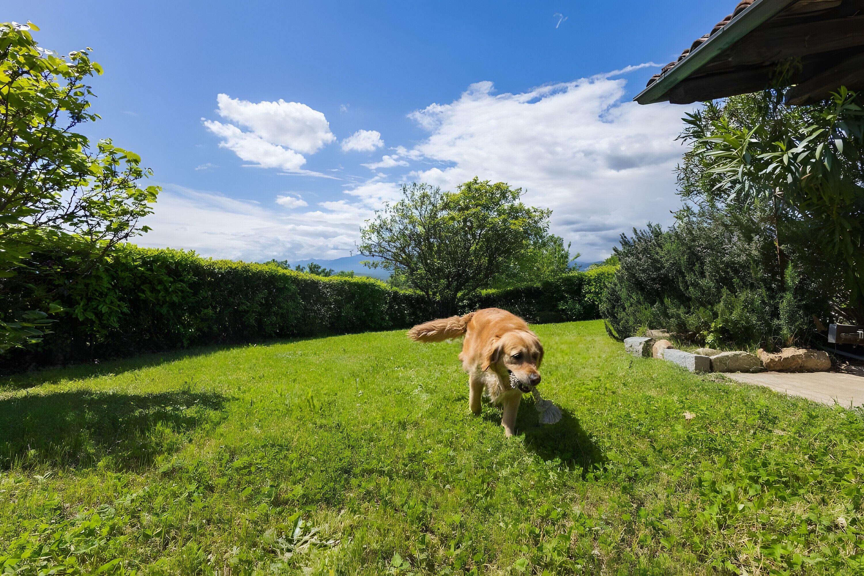 Parco della struttura
