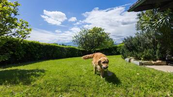 Parco della struttura