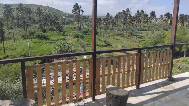 Ein hölzerner Balkon mit Blick auf eine grüne Landschaft und Palmen.
