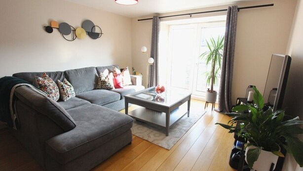 A living room with a grey sofa, a glass coffee table, and a potted plant.
