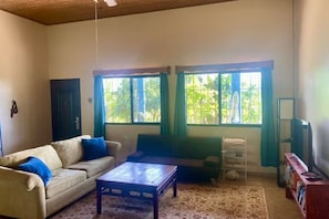 Sala de estar con sofá, mesa de centro y mueble para televisión. Se ven dos ventanas con cortinas, y una puerta al fondo.