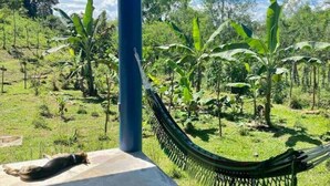 Una hamaca atada a un poste azul, frente a un paisaje verde exuberante con árboles de plátano y cielo despejado.