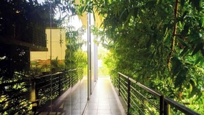 A pathway lined with metal railings and surrounded by dense green foliage.