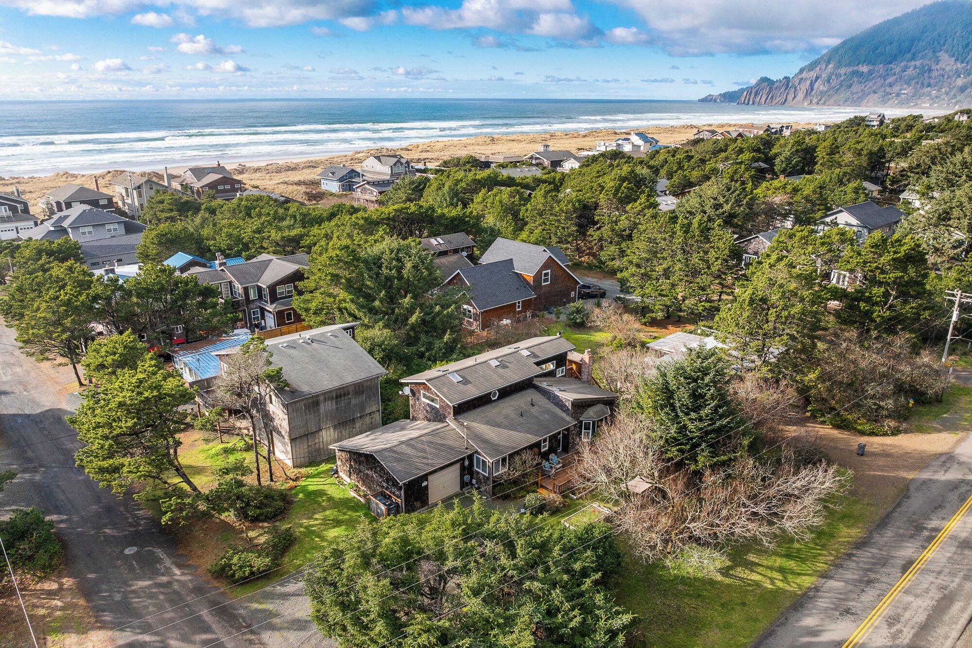 A residential area with houses surrounded by trees, a road, and a beach in the background.