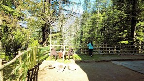 صورة غير مصنفة، 4 من 26، زرّ