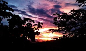 Niet-geclassificeerde afbeelding, 2 van 12, knop