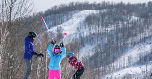 Immagine non classificata, 5 di 28, pulsante