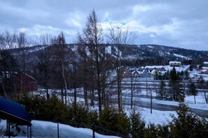 A snowy landscape with a village, bare trees, and a mountain in the background.
