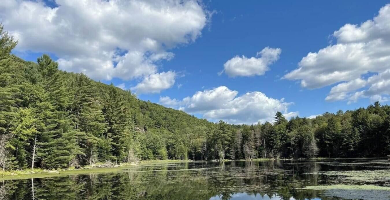 Um lago tranquilo cercado por uma floresta densa e um céu limpo.