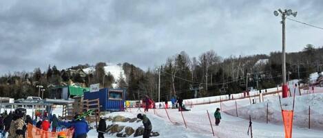 Snø- og skisport