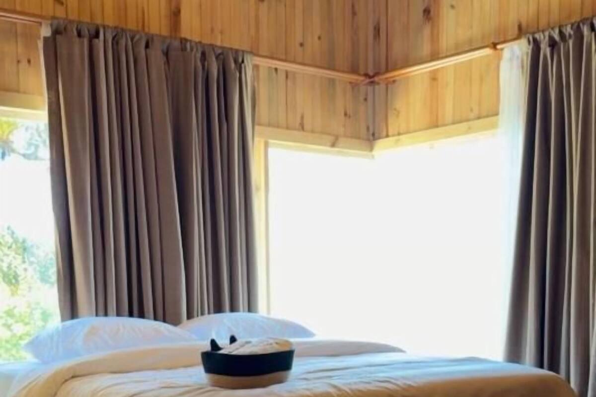 A wooden-paneled room with a bed, a bench, and a window with curtains.