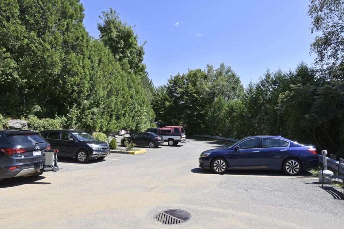 Ein Parkplatz mit mehreren Autos, Bäumen und blauem Himmel.