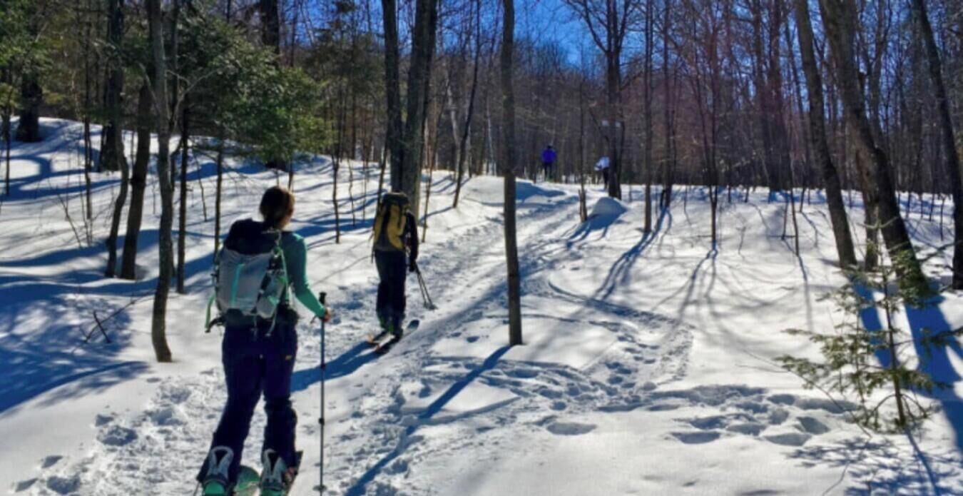 Ein verschneiter Waldweg mit Skifahrern.